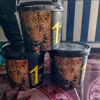 نقاشی ساختمان عروس گیلان