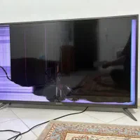 دوو/49/ پنل شکسته|تلویزیون و پروژکتور|محمدشهر, شهرک نگین|دیوار