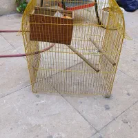 قفس پرنده