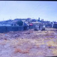 باغ-سیخ-دارنگون