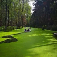 تور شاد یک روزه شمال مرداب سراوان