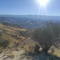 باغچه-800متری-قلات-کوچه-4-فرهنگ