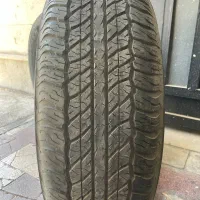 لاستیک دانلوپ استوک