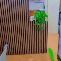 واگذاری فست فود