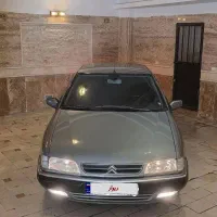 زانتیا زیتونی مدل ۸۴ استثنایی