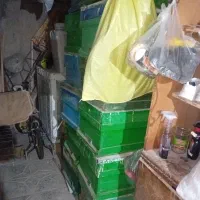 صندوق زنبور