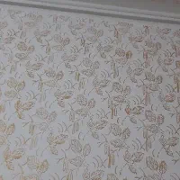 رنگ آمیزی ساختمان