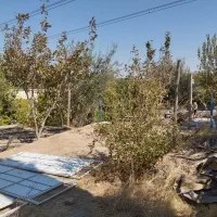 باغ واقع در پیربنو|فروش خانه و ویلا|شیراز, جمال آباد|دیوار