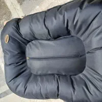 جا خواب سگ