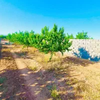 زمین ۵۰۰متری اب برق داره