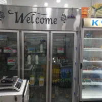 لوازم مغازه پروتئین و لبنیات|فروشگاه و مغازه|شیراز, سیاه سنگ|دیوار