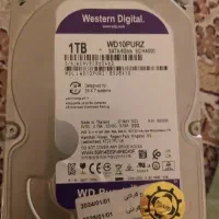 هاردبنفش وسترن1TBWD10PURZتایلند