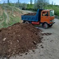 پخش و توزیع کود گاوی گوسفندی