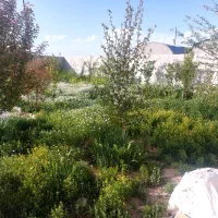 اجاره کوتاه مدت و روزانه ویلا باغ|اجارهٔ کوتاه‌مدت ویلا و باغ|کرمانشاه, |دیوار