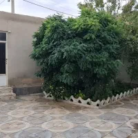 باغچه با سند|فروش خانه و ویلا|جوادآباد, |دیوار