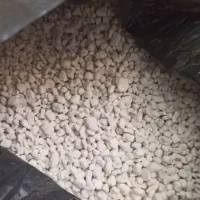 پرلیت مناسب گل و گیاه|گل و گیاه طبیعی|داراب, |دیوار