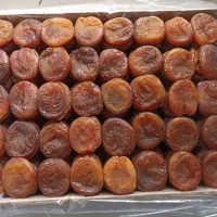 قیصی آفتابی اعلا