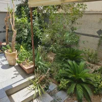 سهروردی شمالی/۱۲۶ متر/۳خوابه /طبقه ۳/ تک واحدی|اجارهٔ آپارتمان|تهران, نیلوفر|دیوار
