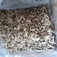 قارچ خشک درجه ۱|خوردنی و آشامیدنی|تهران, پرستار|دیوار