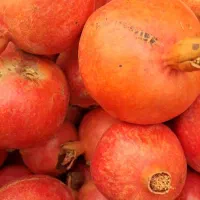 انار آبدار ورب انار ملس