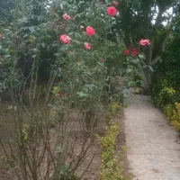 تهاترویلا در سراوان با آپارتمان در رشت|فروش خانه و ویلا|سنگر, |دیوار