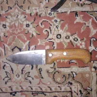 چاقو سلاخی|کوهنوردی و کمپینگ|ری, حمزه‌آباد|دیوار