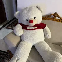 خرس بزرگ جنس خارجی