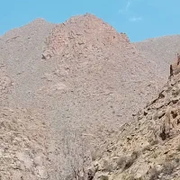 زمین ب متراژ100 متر