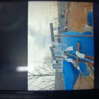 دوربین مداربسته دزدگیر سیم کارتی چکی اقساطی
