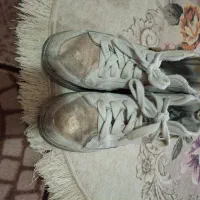 کفشهای|کیف، کفش، کمربند|کرمانشاه, |دیوار