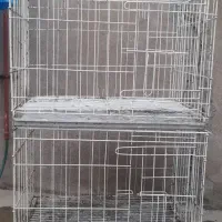 دوتا جفت خونه کفتر