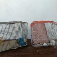 قفس پرنده