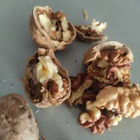 گردوی ارگانیک امسال.منطقه کردان کرج.محصول باغ شخصی|خوردنی و آشامیدنی|تهران, سید خندان (جلفا)|دیوار