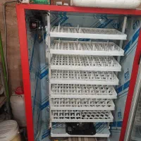 دستگاه جوجه کشی مشهد برق|لوازم جانبی حیوانات|کاشمر, |دیوار