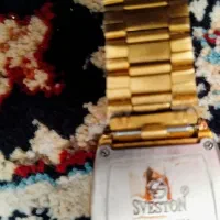 ساعت رادو|ساعت|مشهد, مهدی آباد|دیوار