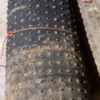 کفپوش گاو داری|حیوانات مزرعه|املش, |دیوار