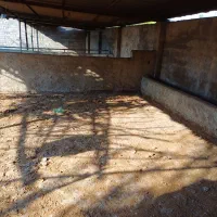 فروش دامداری