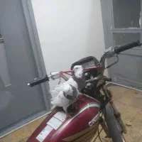 یه جفت طوقی|پرنده|شاهرود, |دیوار