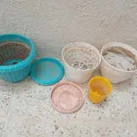 تعدادی گلدان