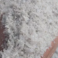 فروش کندوری