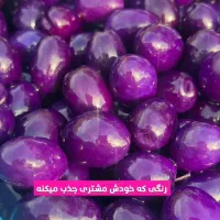 زیتون پیوندی بلوبری و ذغال اخته