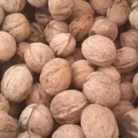 گردو اخلمد