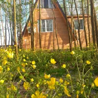 اجاره ویلا سوئیسی