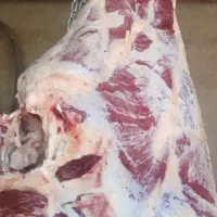 قصاب و سلاخی گاو و گوسفند