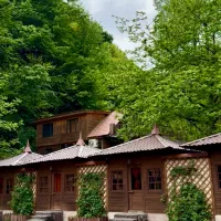نیروی جوان