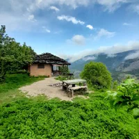 ویلا جنگلی یه خوابه دربست فیلبند چلاو بکر و آرام