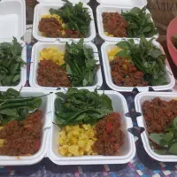 غذای خانگی خانم خادمی