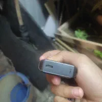 پاد|زیورآلات و اکسسوری|کهنوج, |دیوار