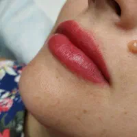 میکروبلیدینگ ابرو و شیدینگ لب|خدمات آرایشگری و زیبایی|گنبد کاووس, |دیوار