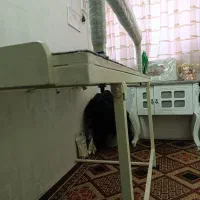 تخت تاشو|تخت و سرویس خواب|مشهد, کارمندان دوم|دیوار